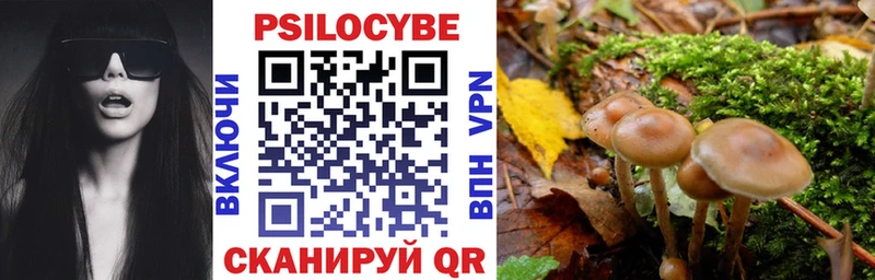 Галлюциногенные грибы Psilocybine cubensis  Шилка 